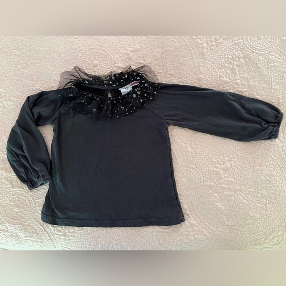 Zara tshirt with foilized tulle Peter Pan style collar, size 3t - Picture 3 of 7